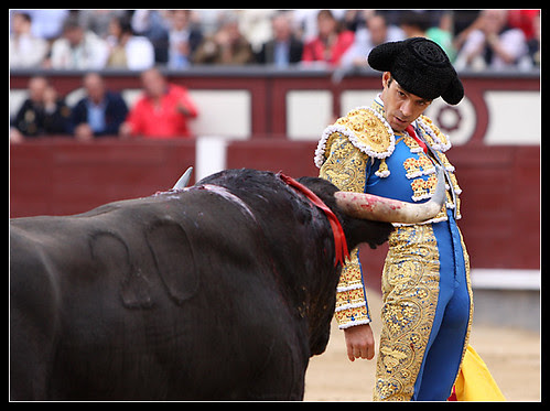 Jose-Tomas-03