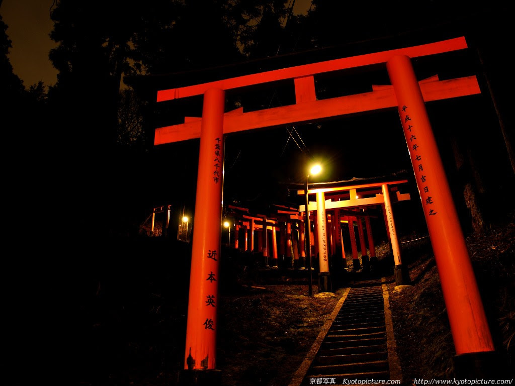 伏見稲荷からの夜景壁紙写真