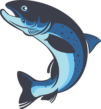 Download Trout Vector - ClipArt Best