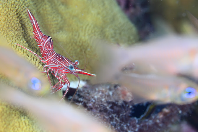 HDS_5596.JPG