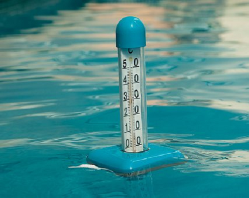 ミナミヌマエビが水槽から飛び出してしまう原因と脱走しないための対策について ミナミヌマエビの生態