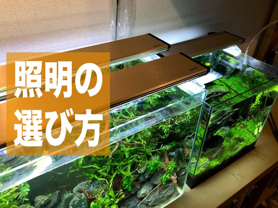 水草アクアリウム水槽の照明 ライト の選び方 特徴 おすすめを紹介 Aqua24アクアリウム