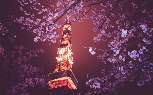 夜景もう美しい 東京タワーのおしゃれで高画質な画像 壁紙まとめ 写真まとめサイト Pictas