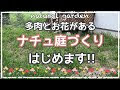 √無料でダウンロード！ ガーデニング 多肉 植物 庭 づくり 232075
