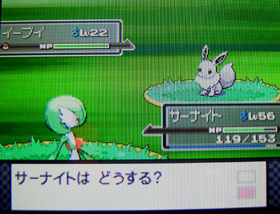 ポケトレと 色違いイーブイgetだぜ 有栖のポケモン日記