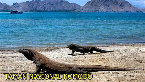 daftar lengkap tempat wisata terbaru  nusa tenggara timur reygian