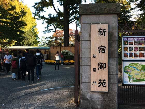 行き方 新宿御苑は散歩やピクニックデートに最高 東京生活 Com