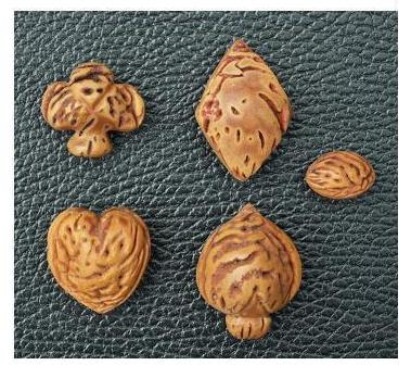 Carving Peach Pits By R V Dietrich