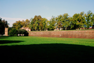 80DSC_2121.jpg