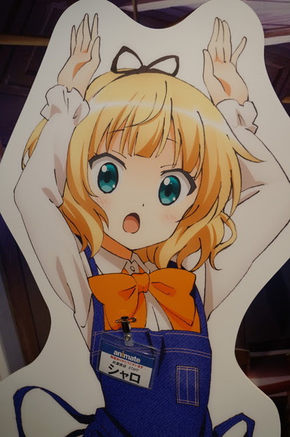 ごちうさ アニメイト秋葉原staff シャロちゃん 写真共有サイト フォト蔵