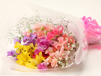 スイートピーの花束 花束 ブーケ 花の通販 宅配 季節の花をお祝いに 花のギフトはwfs