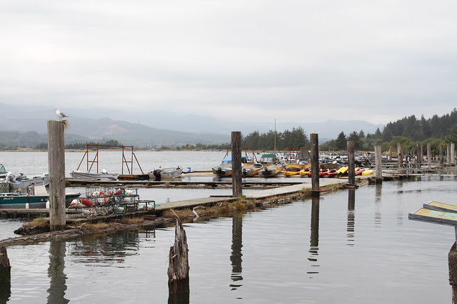 nehalem river