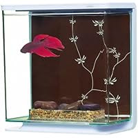 Marina Betta Kit Contemporary Theme, Large