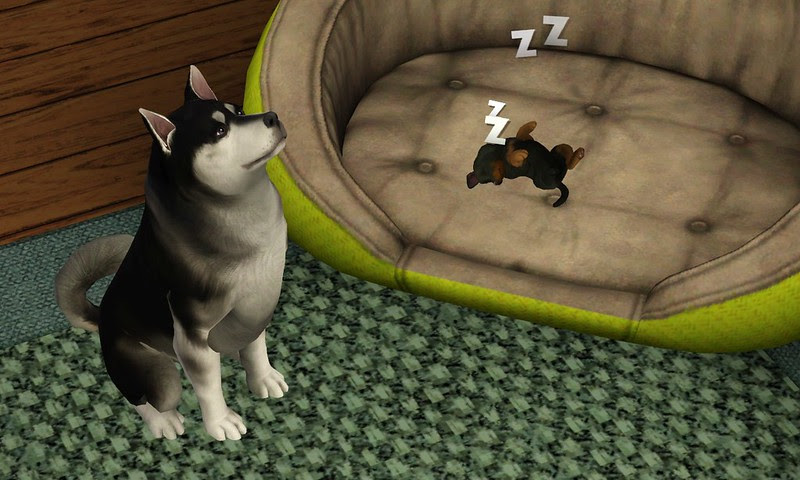 Screenshot-5194