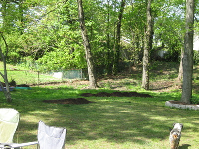 Apr pics '10 004