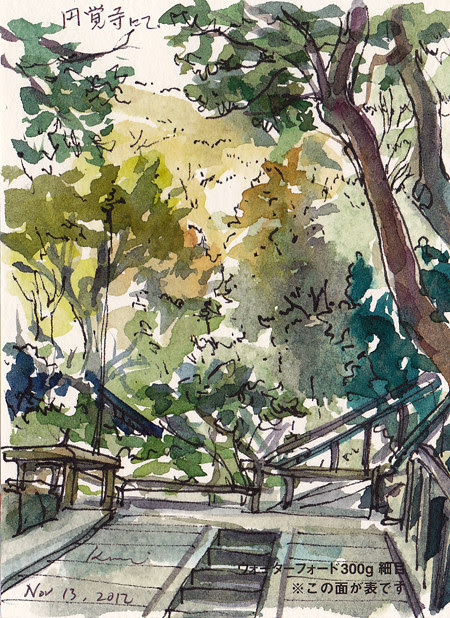 foliage