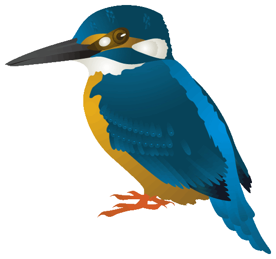 可愛い鳥達の水浴び