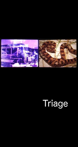 Kép