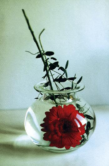 http://www.alzheimerforum.de/images/Vase.jpeg