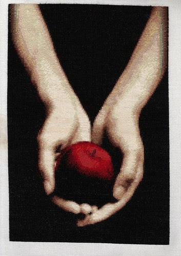 Twi-stitch Scan