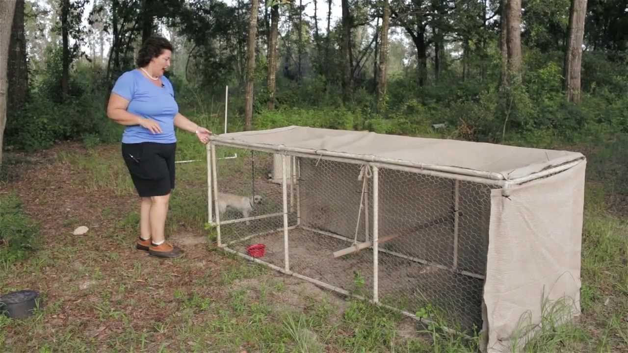 Chicken Coop Ideas. A tour of Becky's chicken coop designs. - YouTube