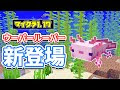 [最も人気のある！] マイクラ 熱帯魚 餌 863012-マイクラ 熱帯魚 餌