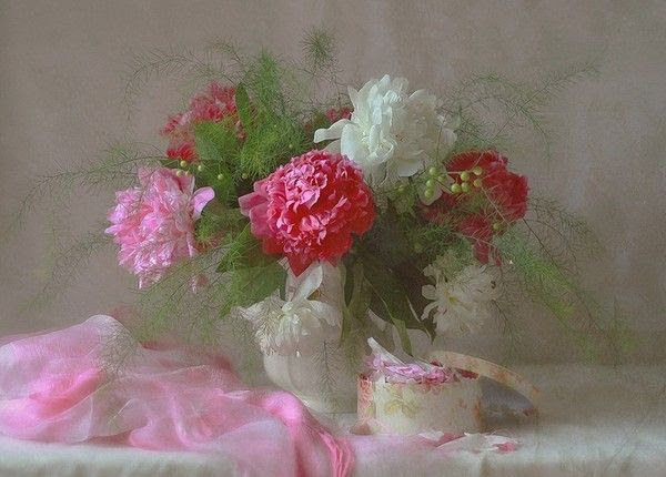 belles images fleurs - flowers