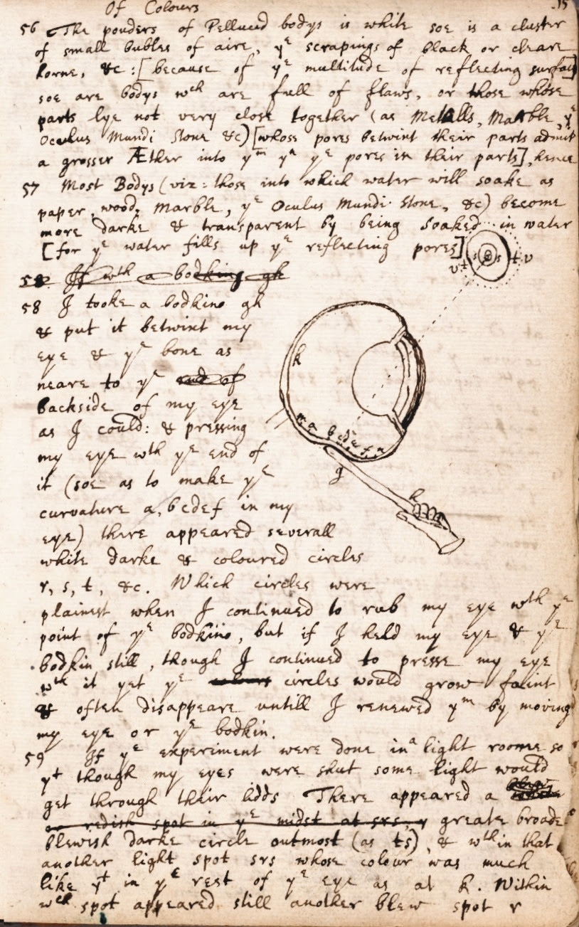 isaac newton essay