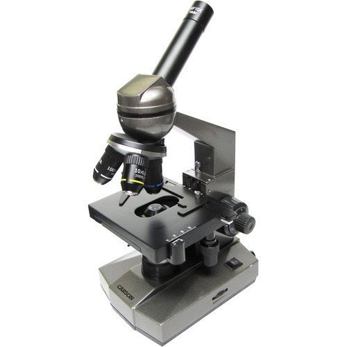  Microscope MS-100 100x - 1000x de table Microscope