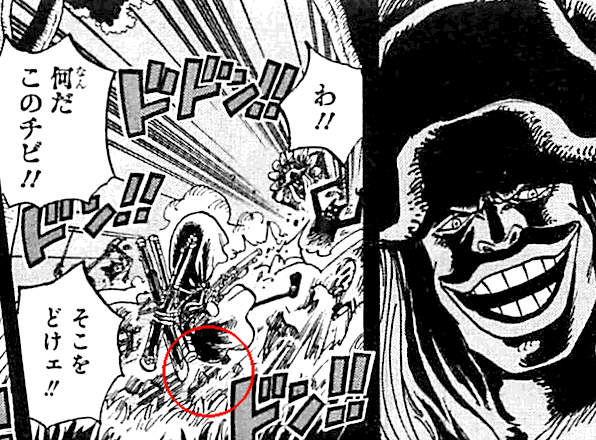 Onepiece 739 隊長 我思う故に 新館我思う故に 新館