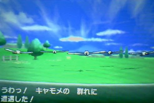 ポケモンxy 努力値稼ぎ 素早さ S のオススメ場所はどこ ポケモン剣盾 ソードシールド 攻略 最新情報 Pokemon Times