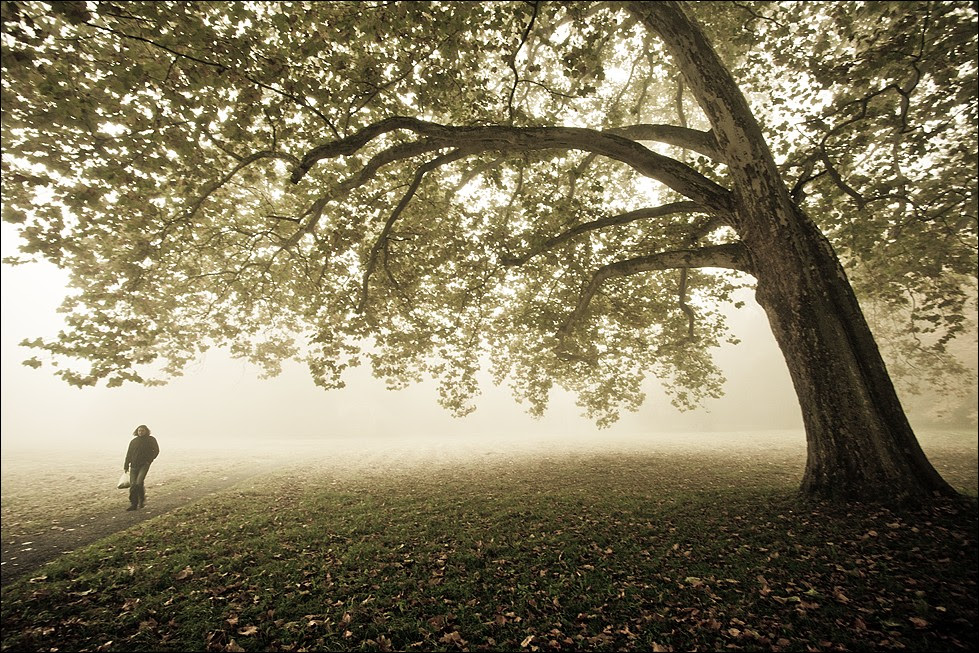 photosight,Robert Adamec