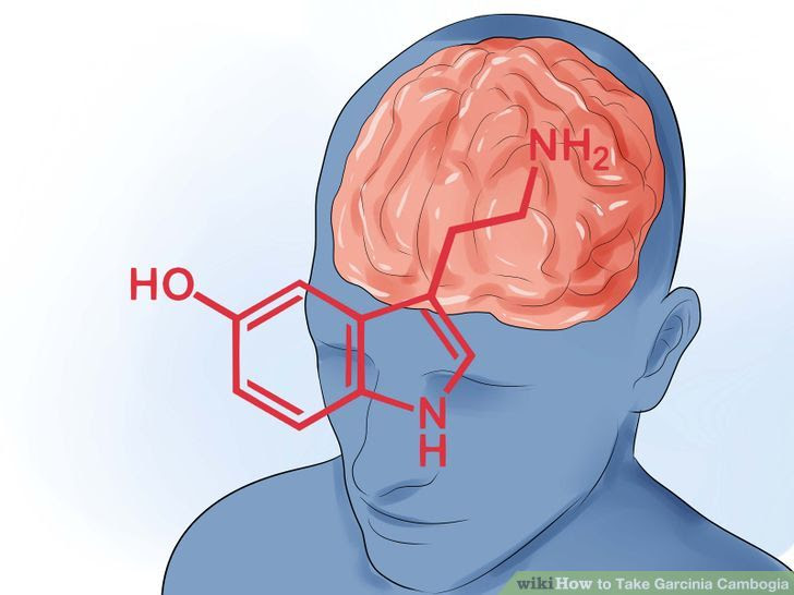 Take Garcinia Cambogia Step 8.jpg