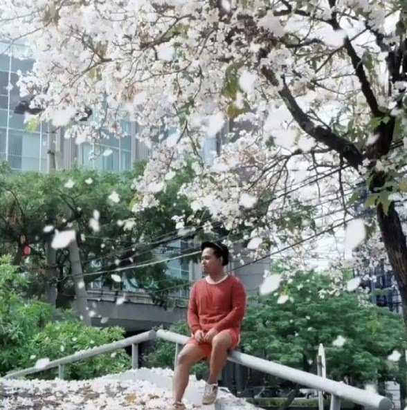 Wisata  Surabaya  Bunga  Sakura  Tempat Wisata  Indonesia