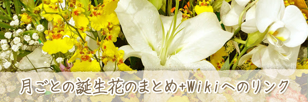 1年の月ごとの誕生花 花の一覧 チルの工房 无域屋