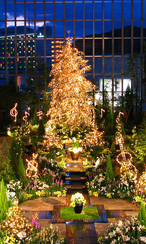 携帯待ち受け画像 クリスマス夜景壁紙 Wvga縦 480 840ﾋﾟｸｾﾙ 兵庫と神戸の写真ブログ