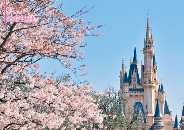 東京ディズニーリゾート シンデレラ城 夢と魔法の100 ディズニーファン公式ホームページ