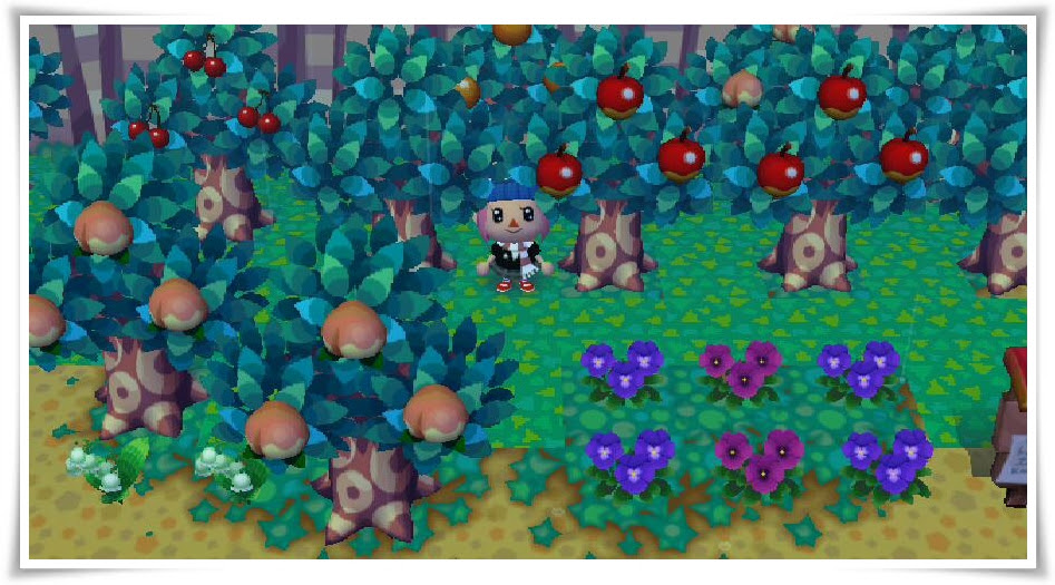 木の植え方 どうぶつの森 Life Diary
