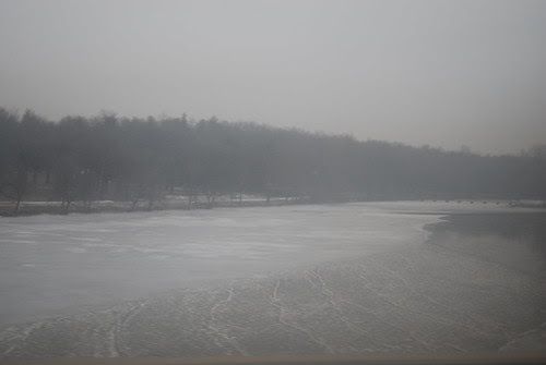 Faded from the winter...