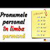 Pronumele personal germana (das Personalpronomen)