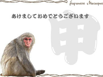 申年 猿の年賀状イラスト集 M Y D S フリー素材