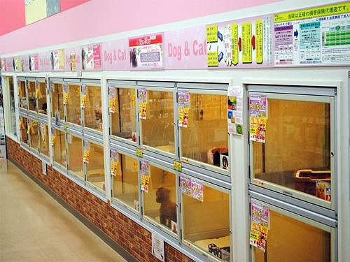 ペットプラザ ノアズアーク豊中店