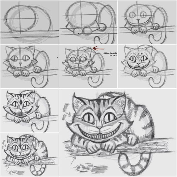 Draw the Cheshire cat in an easy way | Kunst @-}-- | Pinterest