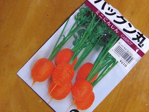 プチにんじん しかたに自然案内