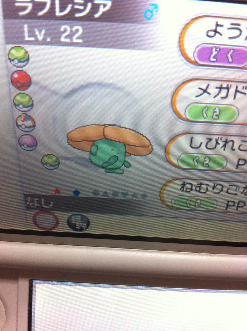 色違いに釘付け ラフレシア Oras A