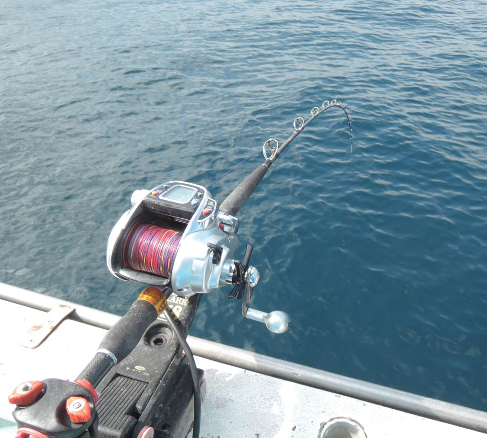 泳がせブリ第２戦 大磯恒丸 14 02 22 ごまプリンの沖釣りに行こうよ