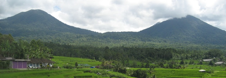 Walking through the rice terraces while traveling in indonesia