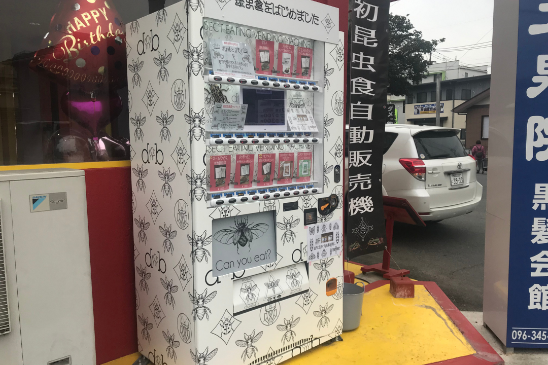 熊本県に設置された世界初の 昆虫食自動販売機 が話題 早くも同県で２機目が登場 Shulog