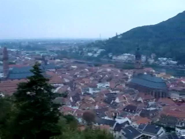Heidelberg Fall Semester 2009