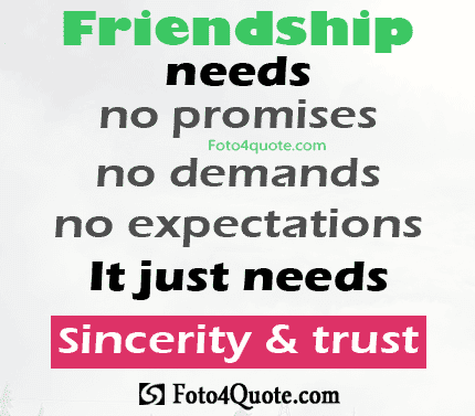 Image result for friendship quotes